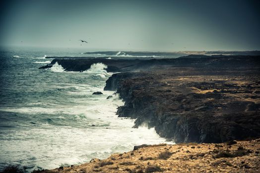 seawaves on a rocky shore at magnificent dusk