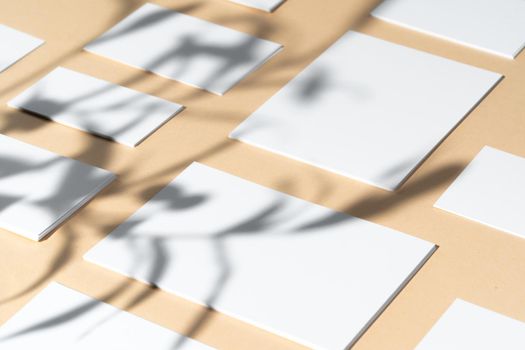 Creative photo with floral shadow of white businesscard on beige background, copy space