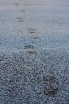 shoeprints on icy ground. Human feet traces, shoes imprints on white snowy road. Fresh snow fallen on asphalt. traces left by man walking away, trajectory of person leaving. several steps