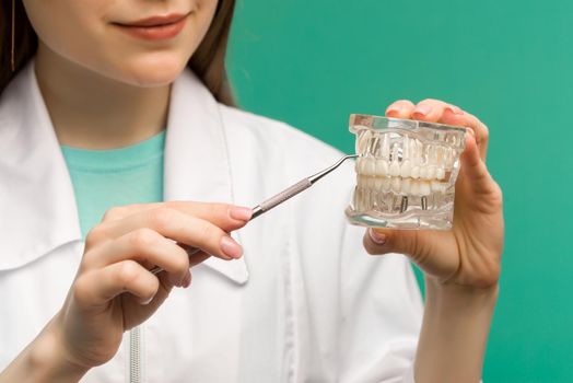 Woman dentist showing on a jaw model oral checkup - image