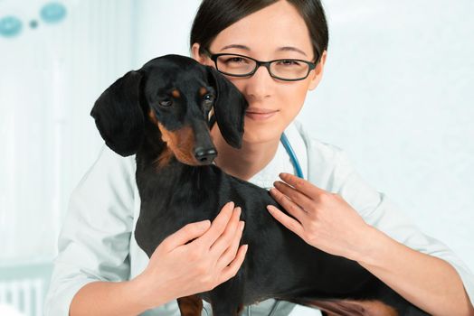 Smiling woman veterinarian with dachshund dog in a hospital