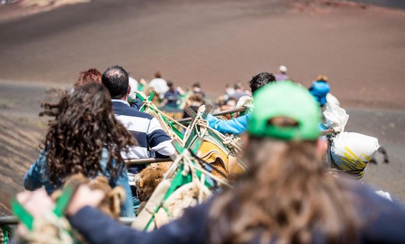 camelcade with tourists on Lanzarote of the Canary islands