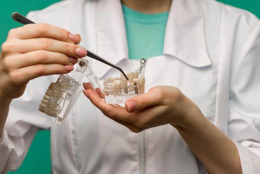 Woman dentist showing on a jaw model oral checkup - image