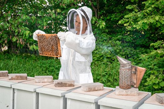 Beekeeper inspects bees in a protective suit.