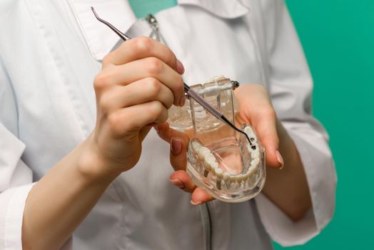 Woman dentist showing on a jaw model oral checkup - image