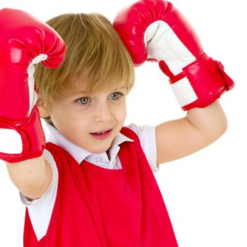 Portrait of little boy in red boxing gloves. Adorable boy standing in winning pose with arms raised above his head. Cute kid five years old posing against white background