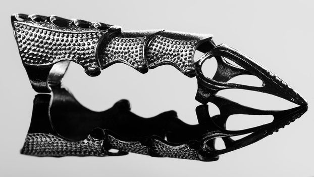 Fashion Full Finger Claw Rings reflected in the mirror