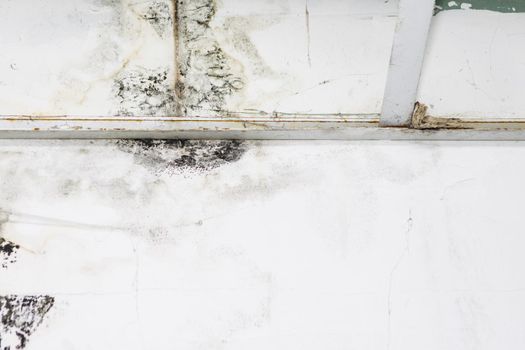 Big wet spots and cracks and black mold on the wall of the domestic house room after heavy rain and lot of water - Image