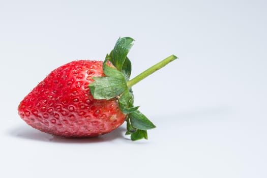 Strawberry White Background