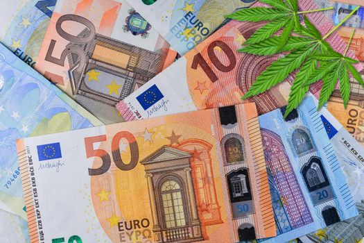 Close up of Marijuana on money. Cannabis or hemp leaves on a euro money background. Flat lay. Template or mock up.