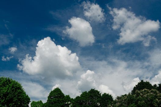 Incredibly wonderful lush cumulus clouds against a blue sky - Image