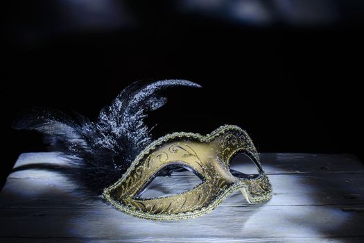 The Venetian mask with feather . light brush