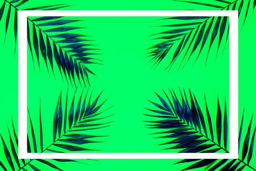 Flat lay traveler accessories with palm leafs . Top view travel or vacation concept. Summer background.