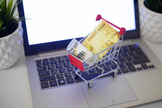 Online shopping concept. A cart with money and a credit card is on the keyboard of a laptop. - image