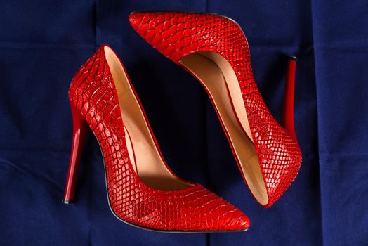 red stiletto heels of snakeskin on blue background