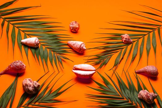 Flat lay traveler accessories with palm leaf, seashells . Top view travel or vacation concept. Summer background.