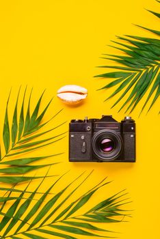 Flat lay traveler accessories with palm leaf, seashells, camera . Top view travel or vacation concept. Summer background.