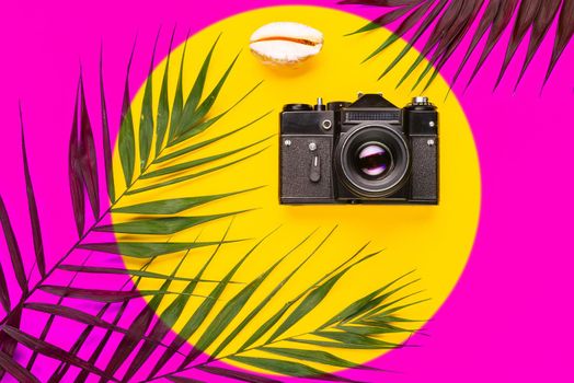 Flat lay traveler accessories with palm leaf, seashells, camera . Top view travel or vacation concept. Summer background.