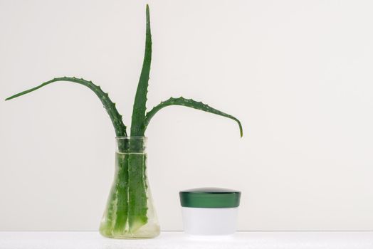 Green scarlet leaves in a glass vase with water and cream care on a white background - Image