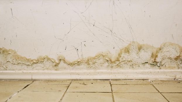 Big wet spots and cracks and black mold on the wall near flour in domestic house room after heavy rain and lot of water - Image