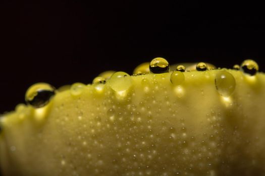 Macro water droplets on yellow plants