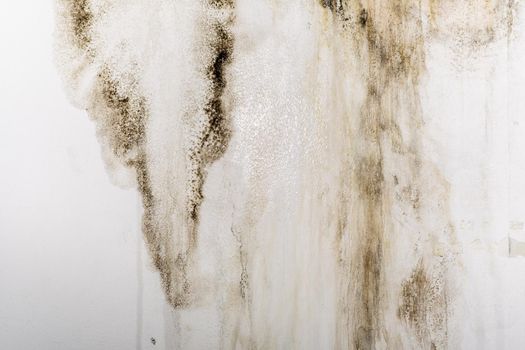 Big wet spots and cracks and black mold on the wall of the domestic house room after heavy rain and lot of water - Image