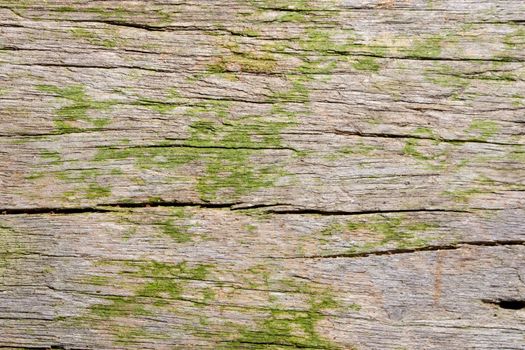 Background wood texture