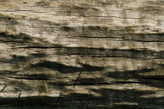 Natural old vintage wood texture in loft style - Image