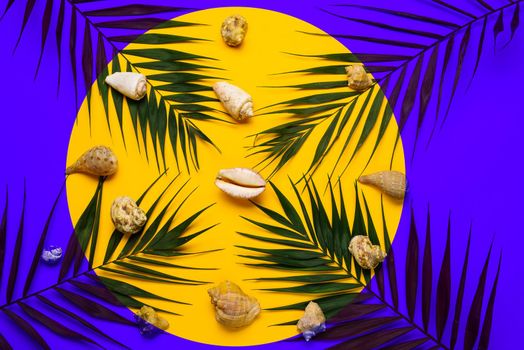 Flat lay traveler accessories with palm leaf, seashells . Top view travel or vacation concept. Summer background.