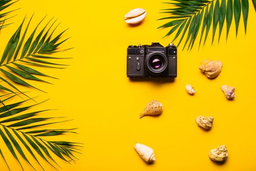 Flat lay traveler accessories with palm leaf, seashells, camera . Top view travel or vacation concept. Summer background.