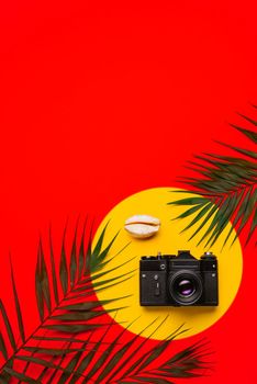 Flat lay traveler accessories with palm leaf, seashells, camera . Top view travel or vacation concept. Summer background.