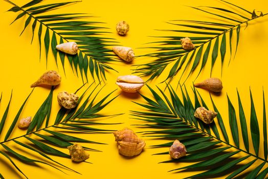 Flat lay traveler accessories with palm leaf, seashells . Top view travel or vacation concept. Summer background.