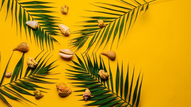 Flat lay traveler accessories with palm leaf, seashells . Top view travel or vacation concept. Summer background.