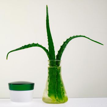 Jar of cream for face care body with aloe extract on a white background - Image