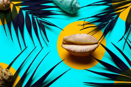 Flat lay traveler accessories with palm leaf, seashells . Top view travel or vacation concept. Summer background.