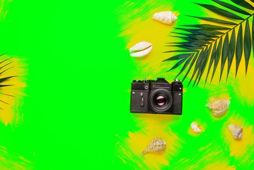Flat lay traveler accessories with palm leaf, seashells, camera . Top view travel or vacation concept. Summer background.