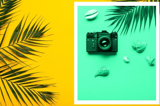 Flat lay traveler accessories with palm leaf, seashells, camera . Top view travel or vacation concept. Summer background.