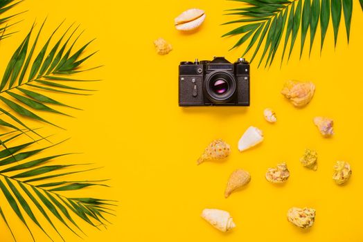 Flat lay traveler accessories with palm leaf, seashells, camera . Top view travel or vacation concept. Summer background.