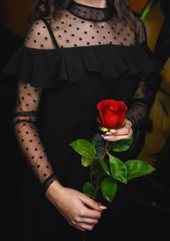A girl in a black dress holds a red rose in her hands. The concept of giving flowers to girls.
