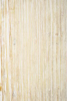 Top view on white brushed wooden texture. - image