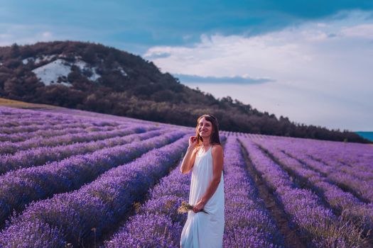 Lavender flower blooming scented fields in endless rows. Selective focus on Bushes of lavender purple aromatic flowers at lavender field. Abstract blur for background.