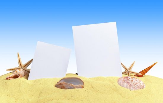 Seashells with blank card on sand beach
