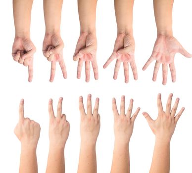 people count by finger 1 to 5 front and back