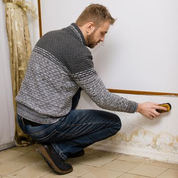Bearded man removes black mold on the wall near flour after leakage - Image