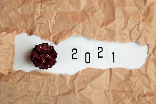 New year 2021 concept. Text and pinecone in torn craft paper.