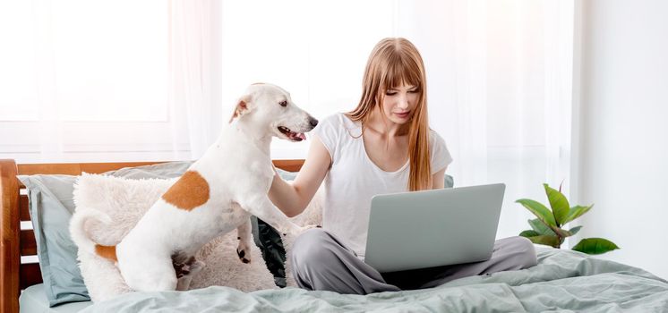 Attractive girl sitting in the bed and looking at the screen of laptop and her cute dog standing close to her. Young beautiful woman with pet and notebook in bedroom. Concept of remote work from home