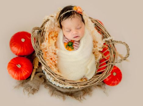 Newborn baby girl sleeping in wicker basket decorated pumpkins and holding knitted toy. Cute infant child kid studio portrait