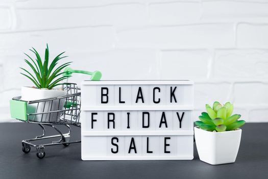 Black Friday concept. Mini shopping cart and succulent plant. Online sale and discounts.