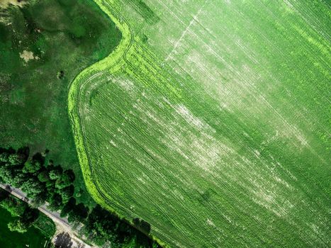 beautiful lush green field with road, aerial photo