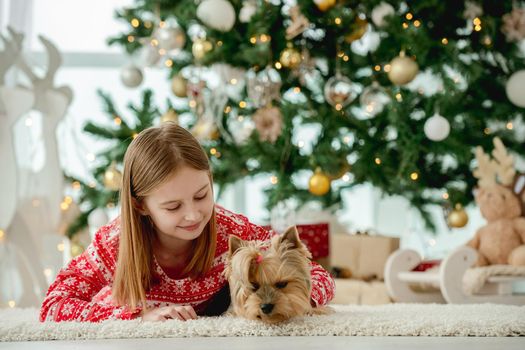 Child girl with dog lying on floor with Christmas tree on background. Kid and pet doggy enjoying New Year time at home